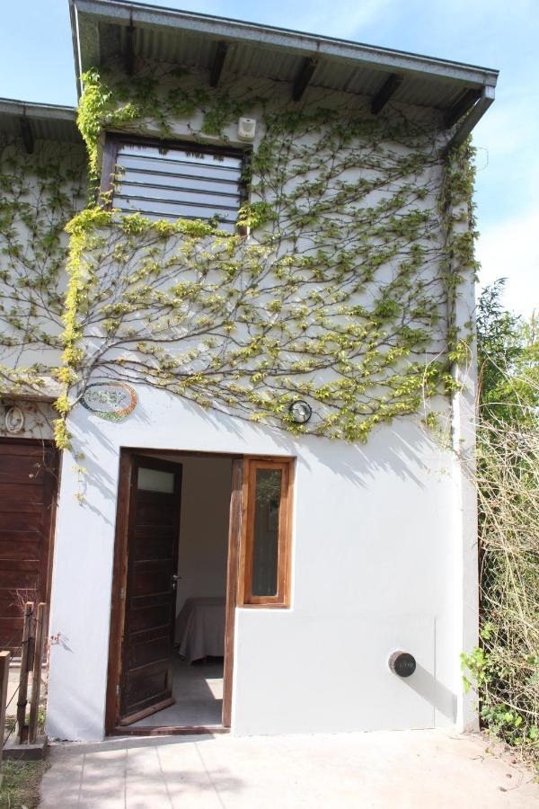 Casita Moderna Frente Al Bosque Apartment Мар дел Плата Екстериор снимка